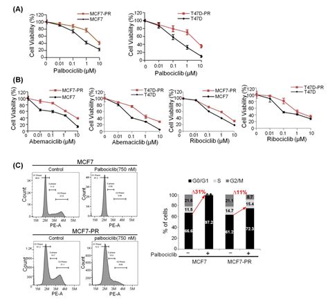 Combined CDK2 and CDK4/6 Inhibition Overcomes Palbociclib Resistance in ...