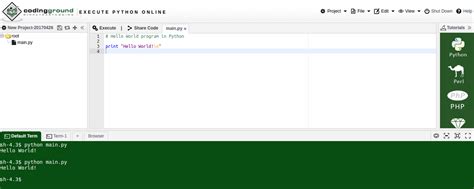 Image result for Interactive Python Shell with Relevant Programming Example
