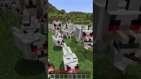 Minecraft Baby Angry Wolf 的图像结果