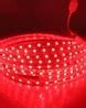 Buy Red Lighting for Home & Kitchen by MLD Online | Ajio.com