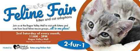 Feline Fair (FOTAS), 1600 North Riverside Ave, Medford, OR, United ...