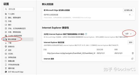Flash Plug-In Edge 的图像结果