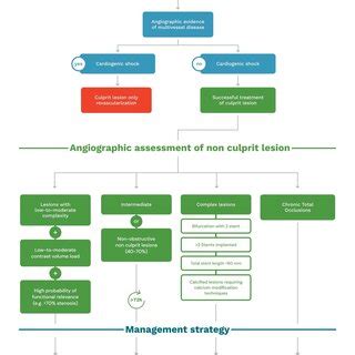 Medical Algorithm Examples 的图像结果