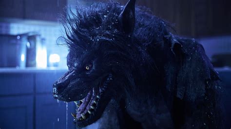 Werewolves (2024) - Backdrops — The Movie Database (TMDB)