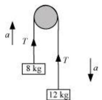 SATHEE: Chapter 4 Laws Of Motion Exercises