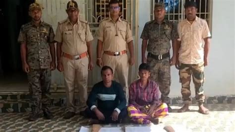 AI cameras help nab hunters in Similipal Tiger Reserve in Odisha, 2 ...