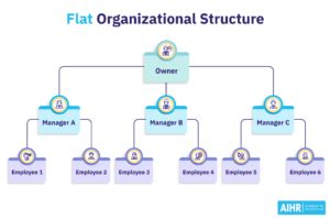 Image result for Management Reporting Structure