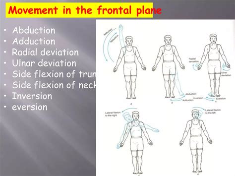 axis and planes | PPTX
