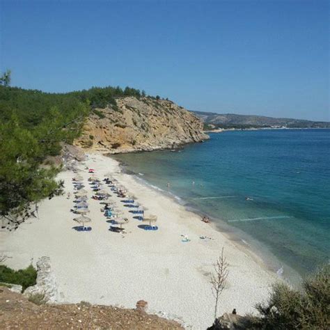 EURO PARK HOTEL (Astris) - Lodge Reviews, Photos, Rate Comparison ...