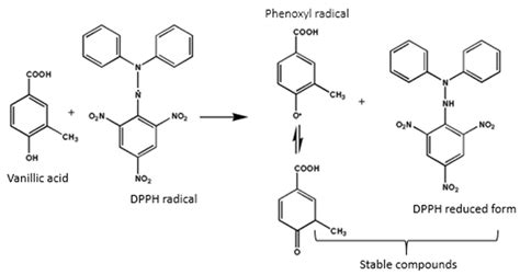 Effect of Blanching Pomegranate Seeds on Physicochemical Attributes ...