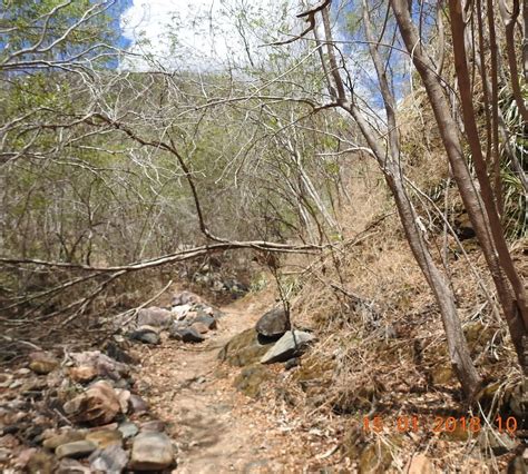 GROTA DE ANGICO (2025) All You Need to Know BEFORE You Go (with Photos ...