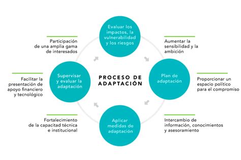 Image result for Formulation Model of Simulation