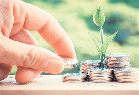 Greenwashing in India Inc: Environment scores create a sense of suspicion