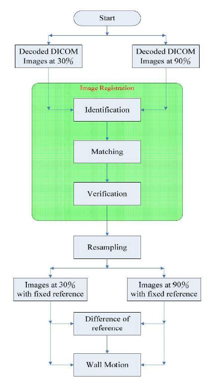 Image result for Processing Org Chart