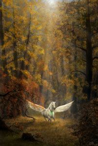 Horses Black Horse Fantasy Horses Hd Matte Finish Poster Paper Print ...