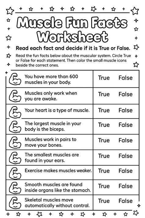 Muscular System Worksheets - Free Image & PDF Printables