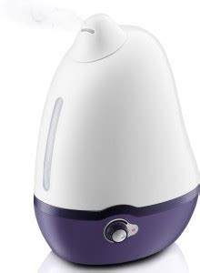 Dr. Trust Room Cool Mist Dolphin Humidifier and Ultrasonic Humidifier ...