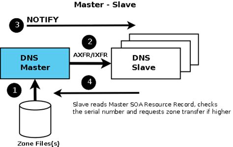 用 Webmin 管理 BIND：实战一次搭建 DNS 主从架构
