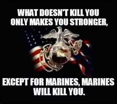 Usmc Birthday 2019 Memes - Happy 244th birthday, United States Marine ...