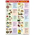 Buy FN06 | TeachingNest | Minerals Chart (70x100cm) | Food and ...