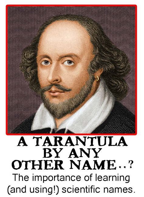 Image result for Scientific Name Example