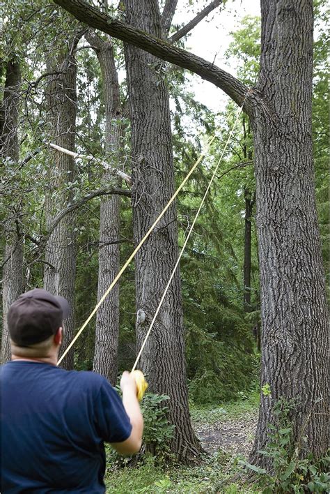 Buy Professional High Limb Rope Chainsaw - 48in. Model Number CS-48 ...