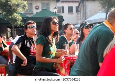 Image result for Springbok Rugby Team