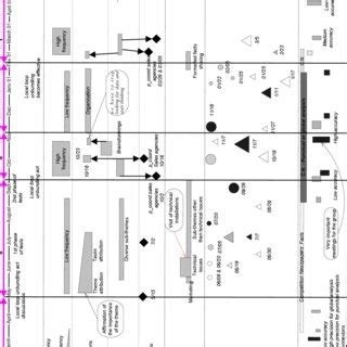 Local Development Loop Diagram 的图像结果