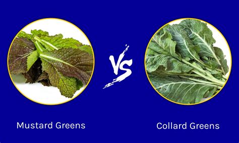 What Is The Difference Between Yellow Mustard And Dijon at Terrance Mitchell blog