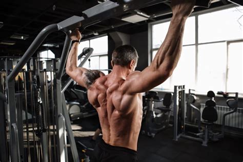 Image result for Musculation Dos