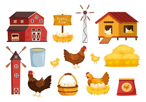 Poultry Farming Clipart Illustrations