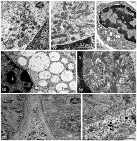 Biology | May 2023 - Browse Articles
