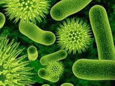 Vaccinated British man found shedding live polio virus for 30 years ...