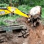 Image result for Baby Elephant Being Kidnap