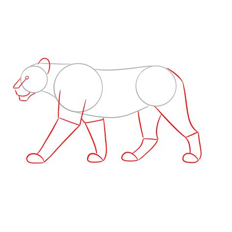 How to Draw a Lioness in Natural Stride: Walking Pose Side View