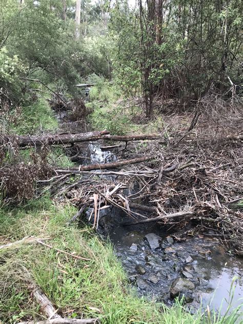 Image result for FiO2 ABG Chart