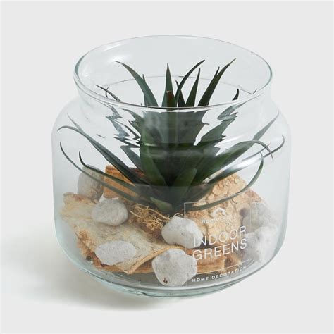 Buy Fiesta Artificial Succulent in Glass Jar from Home Centre at just ...