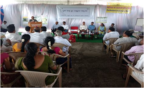 Brief report of workshop on management of fall armyworm conducted at ...