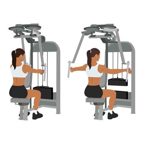 Woman doing rear delt machine flyes exercise. 23686448 Vector Art at ...