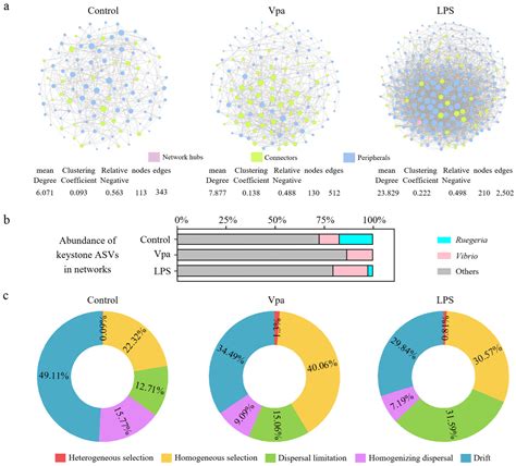 Bacterial Infection Disrupts the Intestinal Bacterial Community and ...