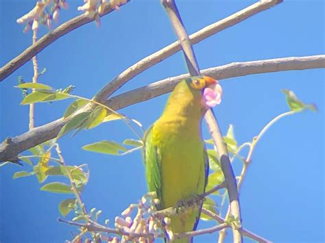 COSTA RICA TROPICAL (2025) All You Need to Know BEFORE You Go (with ...
