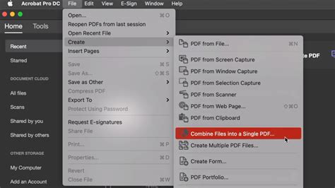 Image result for Multiple Files PDF