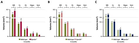 Structural and Functional Brain Abnormalities in Mouse Models of Lafora ...