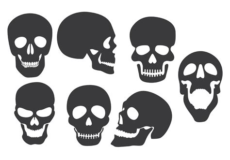 Skull Vector 的图像结果