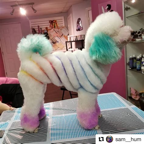 Dog Grooming Styles, Dog Grooming Salons, Poodle Grooming, Pet Grooming ...