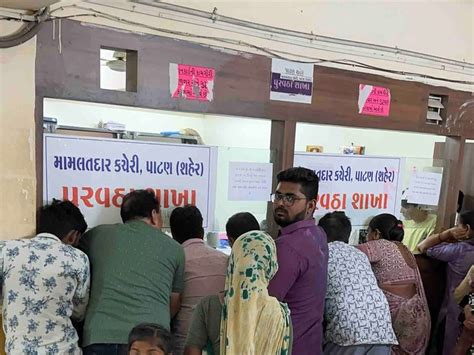 Important notice for NFSA ration card holders in Patan district | પાટણ ...