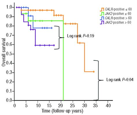 Analysis of phenotype and outcome in essential thrombocythemia with ...