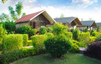 Jim Corbett resorts offer best deals for resorts in Jim corbett Book Online