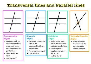 Image result for Different Types of Angles On Parallel Lines