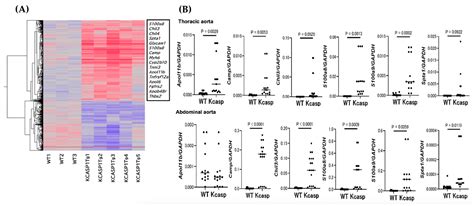 Arteriosclerosis Derived from Cutaneous Inflammation Is Ameliorated by ...